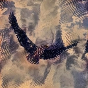 Bird of Freedom